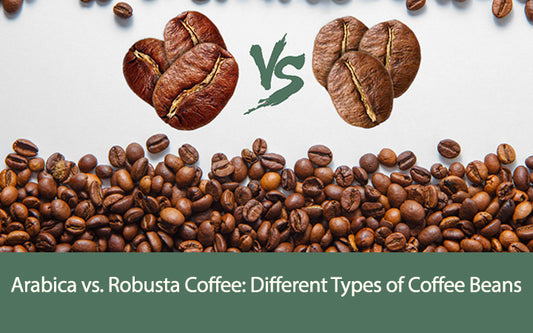 Arabica vs. Robusta Coffee: Different Types of Coffee Beans