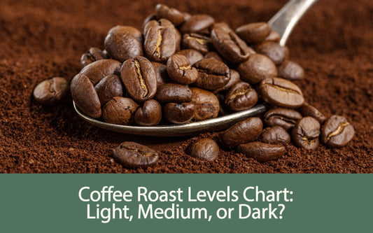 Coffee Roast Levels Chart: Light, Medium, or Dark?